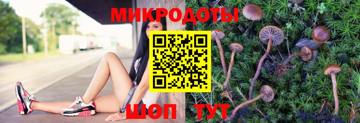 Галлюциногенные грибы Psilocybine cubensis  Галлюциногенные грибы GOLDEN TEACHER  Вход с VPN  Курчалой 